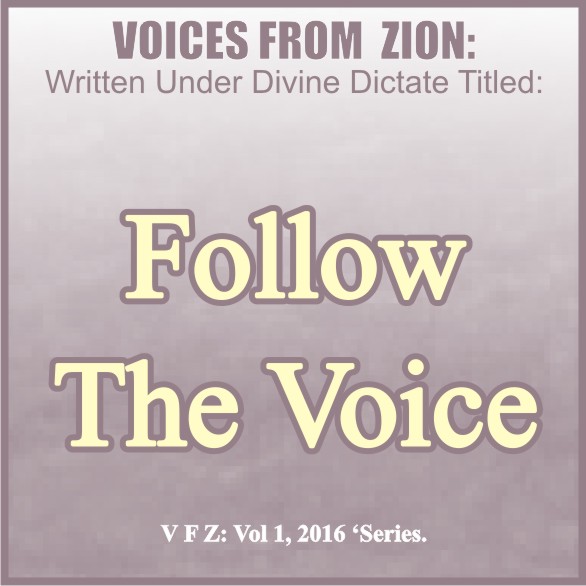 FOLLOW THE VOICE